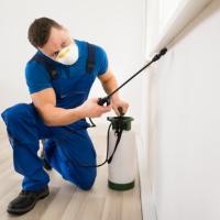 A exterminator spraying for pests