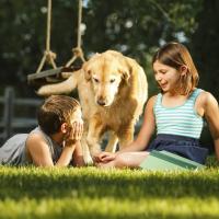 Boy and girl playing with dog outside