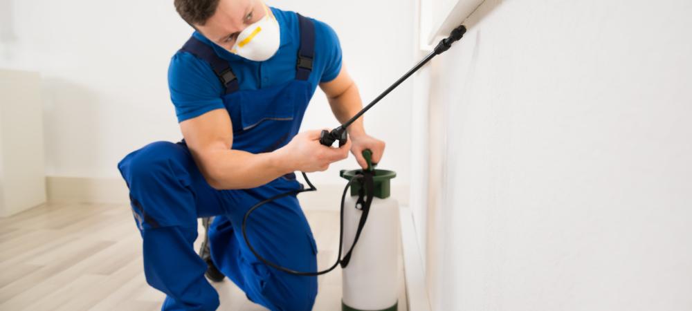 A exterminator spraying for pests
