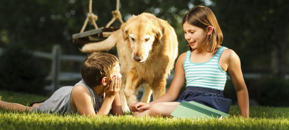 Boy and girl playing with dog outside