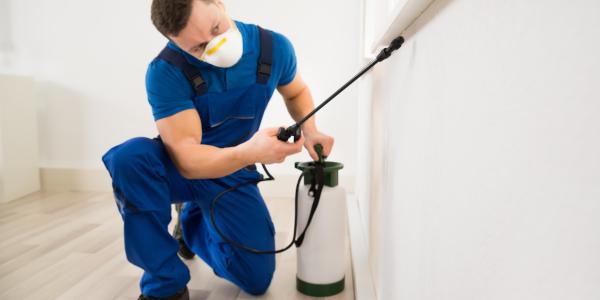 A exterminator spraying for pests