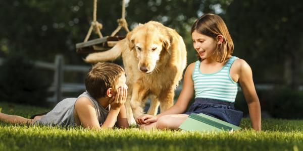 Boy and girl playing with dog outside