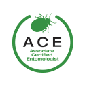 ace-structural-pest-control-1.png